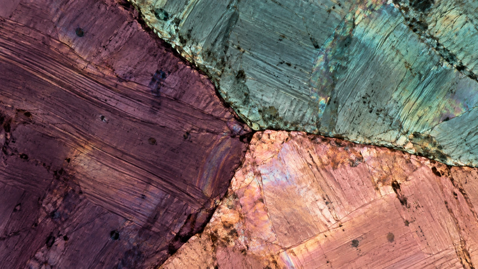 An optical mineral study of three adjoining grains.